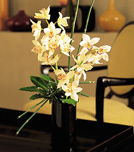  Denizli çiçek yolla , çiçek gönder , çiçekçi   cam yada mika vazo içerisinde dal orkide
