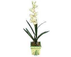 zel Yapay Orkide Beyaz   Denizli online iek gnderme sipari 