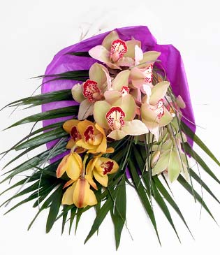  Denizli çiçekçi telefonları  1 adet dal orkide buket halinde sunulmakta