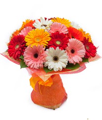 Renkli gerbera buketi  Denizli ucuz çiçek gönder 