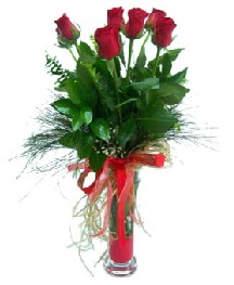 vazo içerisinde 5 kırmızı gül  Denizli internetten çiçek siparişi 