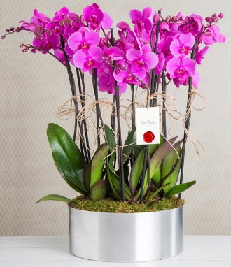 11 dall mor orkide metal vazoda  Denizli uluslararas iek gnderme 