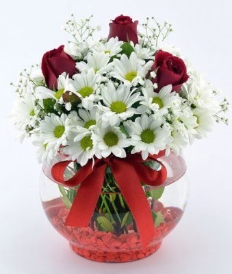 Fanusta 3 Gül ve Papatya  Denizli online çiçekçi , çiçek siparişi 