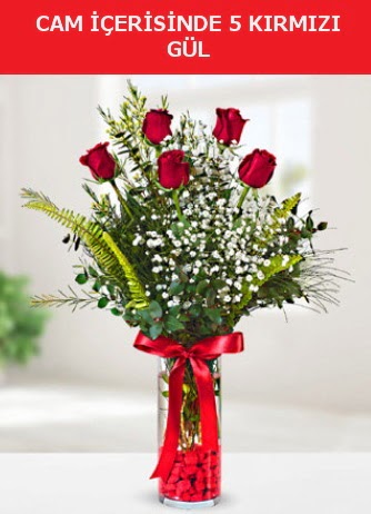 Cam içerisinde 5 adet kırmızı gül  Denizli yurtiçi ve yurtdışı çiçek siparişi 