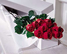  Denizli çiçek online çiçek siparişi  özel kutuda 12 adet gül