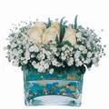 mika ve beyaz gül renkli taslar   Denizli çiçek online çiçek siparişi 
