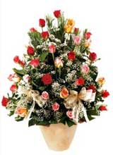 91 adet renkli gül aranjman   Denizli uluslararası çiçek gönderme 