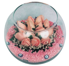  Denizli online çiçekçi , çiçek siparişi  cam fanus içerisinde 10 adet gül
