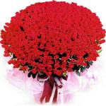  Denizli online çiçek gönderme sipariş  1001 adet kirmizi gülden çiçek tanzimi