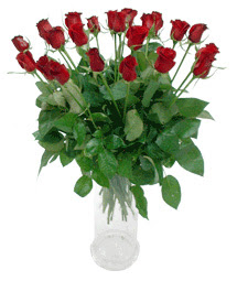  Denizli hediye sevgilime hediye çiçek  11 adet kimizi gülün ihtisami cam yada mika vazo modeli