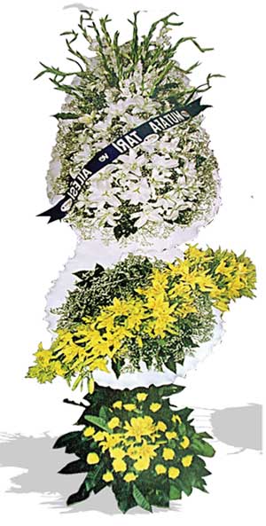 Dügün nikah açilis çiçekleri sepet modeli  Denizli çiçek servisi , çiçekçi adresleri 