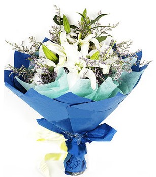  Denizli ucuz çiçek gönder  4 adet dal kazablankadan görsel buket