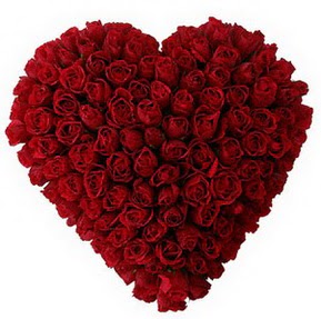  Denizli güvenli kaliteli hızlı çiçek  muhteşem kırmızı güllerden kalp çiçeği