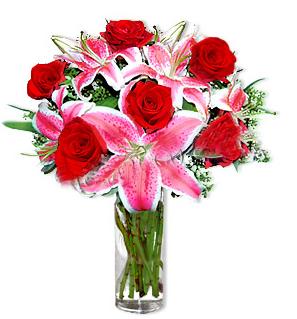  Denizli 14 şubat sevgililer günü çiçek  1 dal cazablanca ve 6 kırmızı gül çiçeği