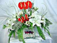  Denizli internetten çiçek satışı  Anthurim Kazablanka  gül
