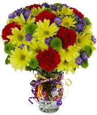 En güzel hediye karışık mevsim çiçeği  Denizli kaliteli taze ve ucuz çiçekler 