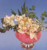  Denizli internetten çiçek satışı  Dal orkide kalite bir hediye