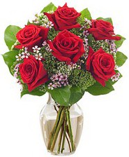 Kız arkadaşıma hediye 6 kırmızı gül  Denizli İnternetten çiçek siparişi 
