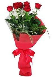 Çiçek yolla sitesinden 7 adet kırmızı gül  Denizli online çiçekçi , çiçek siparişi 