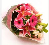 1 dal kazablanka ve mevsim çiçekleri  Denizli İnternetten çiçek siparişi 