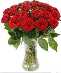  Denizli internetten çiçek satışı  Vazoda 15 adet kırmızı gül tanzimi