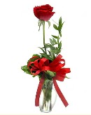 vazo içerisinde 1 adet kırmızı gül  Denizli hediye sevgilime hediye çiçek 