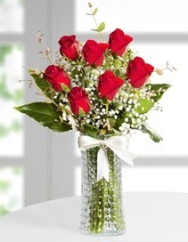 Cam vazoda 7 adet kırmızı gül  Denizli çiçek servisi , çiçekçi adresleri 