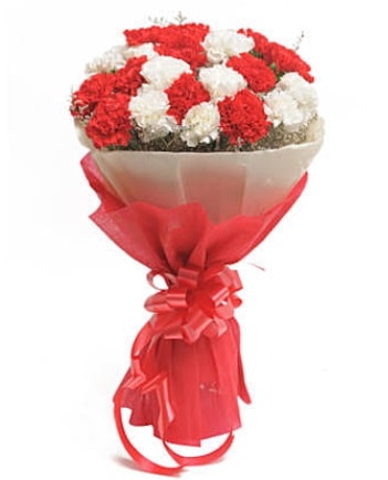 21 adet kırmızı beyaz karanfil buketi  Denizli çiçek online çiçek siparişi 